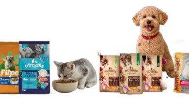 CMI fortalece su crecimiento en nutrición para mascotas con una alianza con Grupo Bios