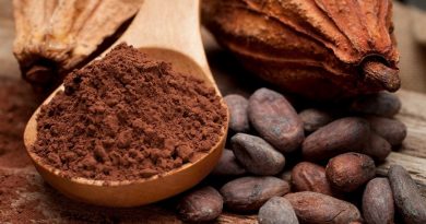 Chocolate y salud: Los mitos y verdades que un amante del chocolate debería conocer