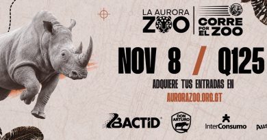 Corre por el Zoo y suma kilómetros a favor de la conservación