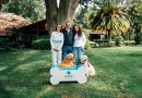 Cuando las palabras no bastan: 15 Golden Retriever que acompañan en el duelo