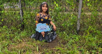 Mujeres indígenas convierten la conservación de los bosques en oportunidades para sus comunidades